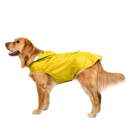 Hooded raincoat